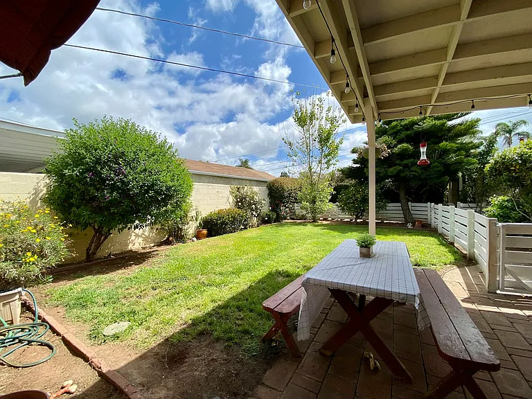Backyard