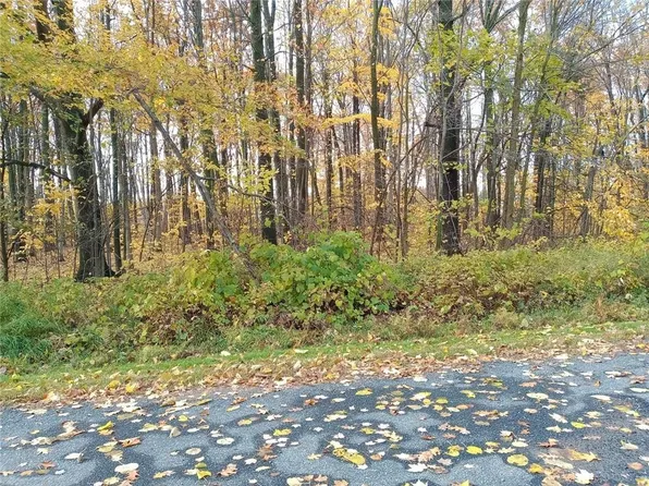 xxx Tower Ave, Thorp, WI 54771