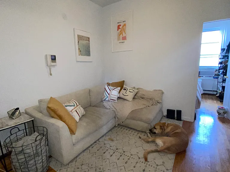 179 Orchard St #15 — Photo 4
