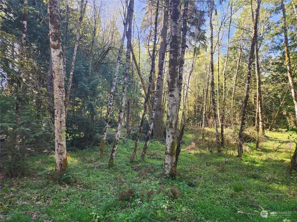 7 E Fox Lane, Shelton, WA 98584
