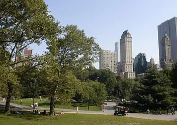 Rented by Bold Marketing