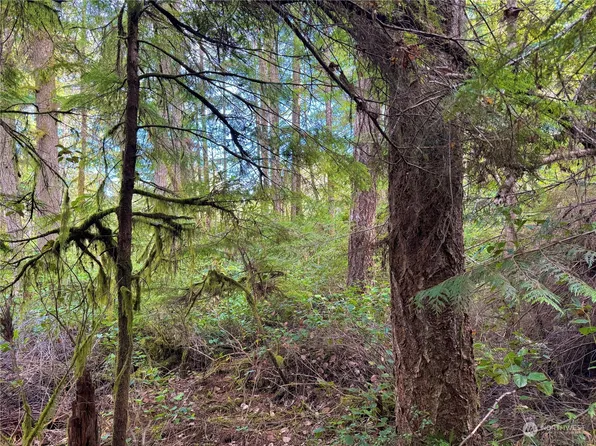 1085 N Lake Cushman Road, Hoodsport, WA 98548