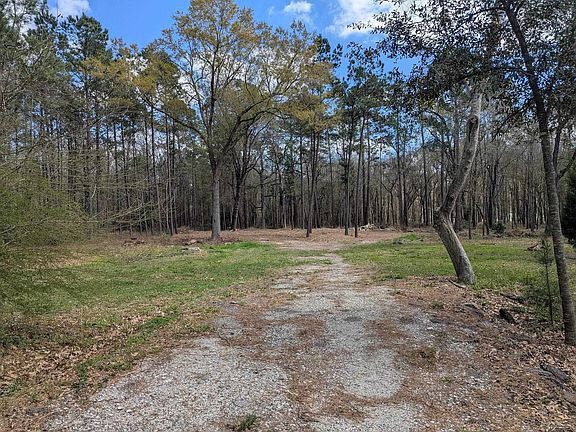 4th image of 0 Loop Rd