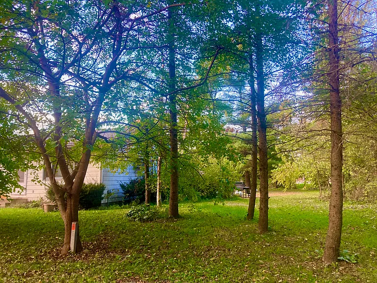 4205 E Scholl Rd — Photo 31