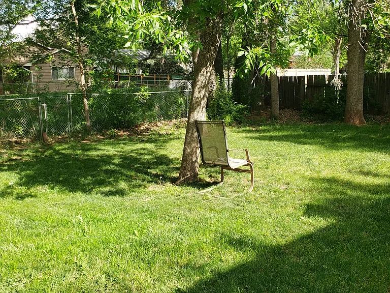 Pleasant backyard with deep creek behind fence. Separately, there's a large dog run!