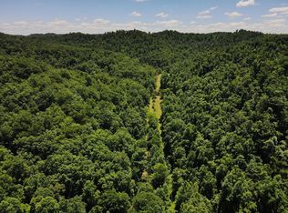 1114 Steel Branch Rd, Blaine, KY 41124