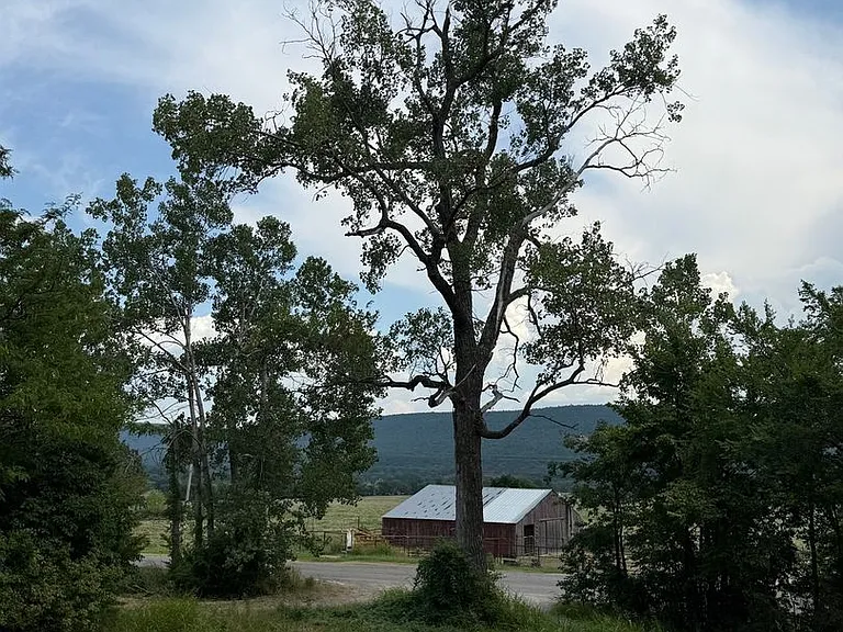 3192 Old Savage Hwy — Photo 5