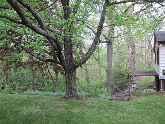3rd image of 3671 Woodcutter Ln