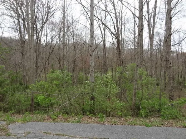 0 Eugene Ct Lot 8, Crossville, TN 38555