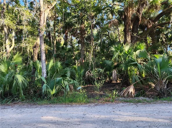 13334 E Shawnee Trl, Inverness, FL 34450