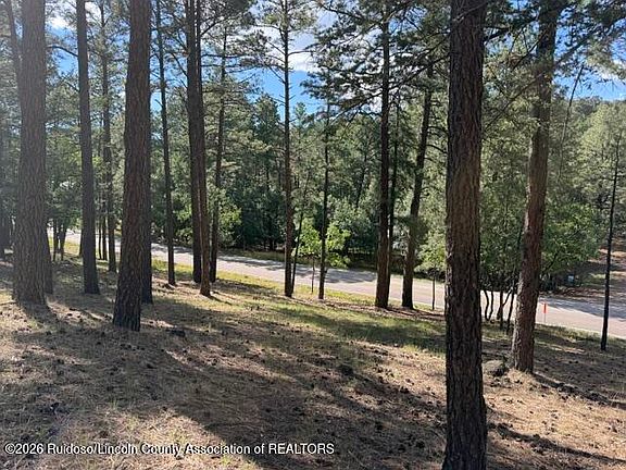 4th image of LOT 62 Fort Stanton Rd #4