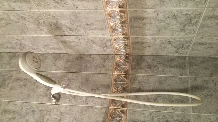 Rented by Toby Berkowitz Real Estate | media 5