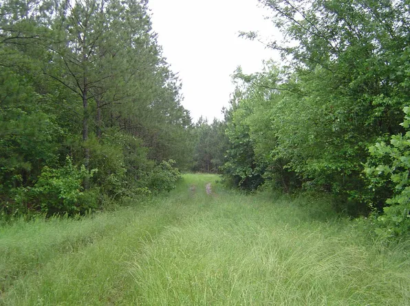 0 Off Hwy #225-9659, Chatsworth, GA 30705