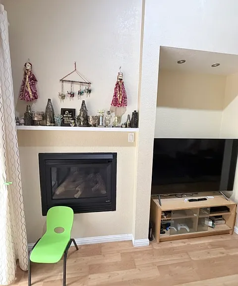 Living Room Fireplace