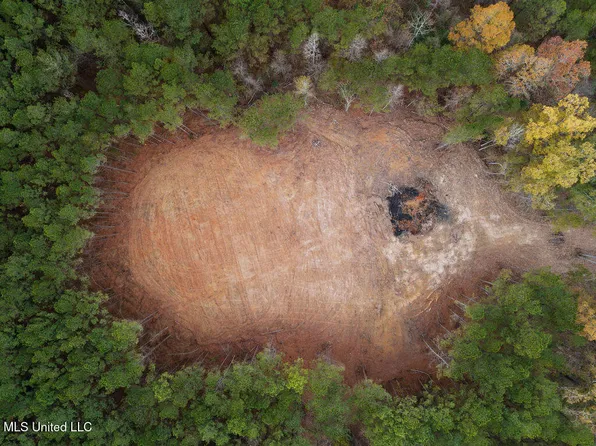 2 Trickhambridge Rd, Brandon, MS 39042