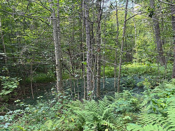5th image of 139 Taylor Brook Rd