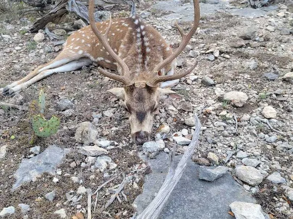 752 SD 46061, Rocksprings, TX 78880