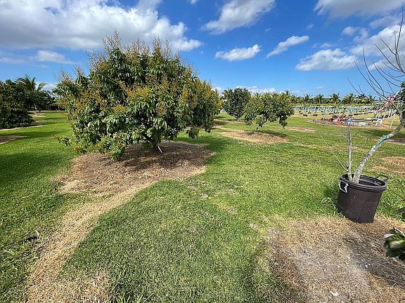 3rd image of 14750 SW 205th Ave