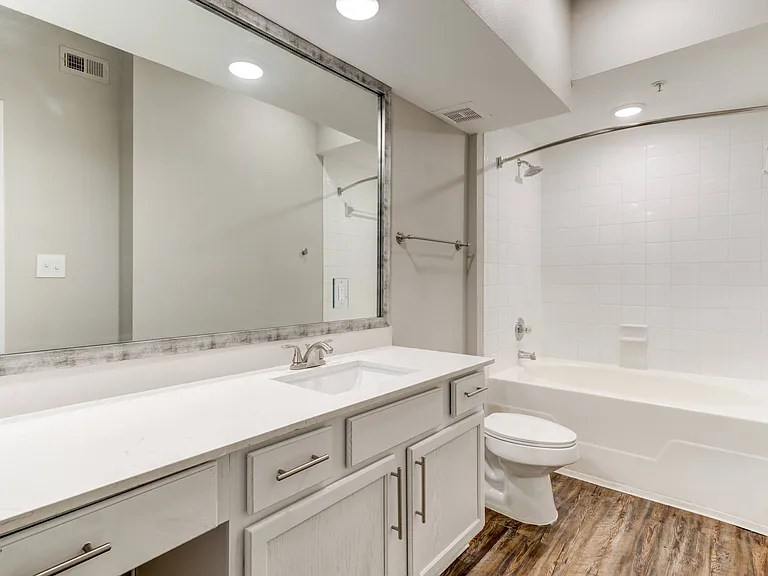Renovated Primary Bathroom
