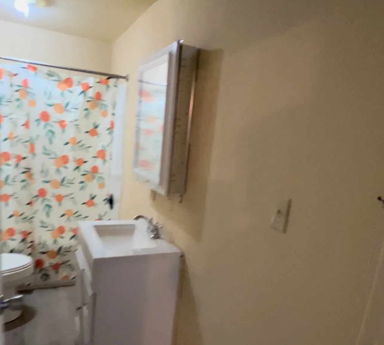 3 bed, 892 sqft, $900 — Photo 4