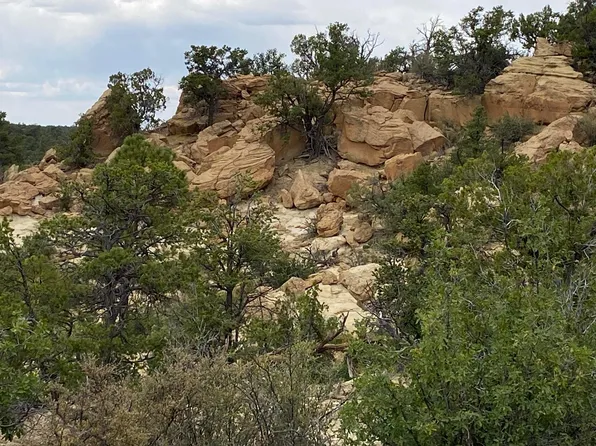Lots 10 11 Old Well Rd, Ramah, NM 87321