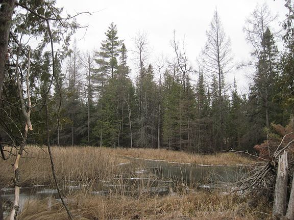 5th image of W County Road 634