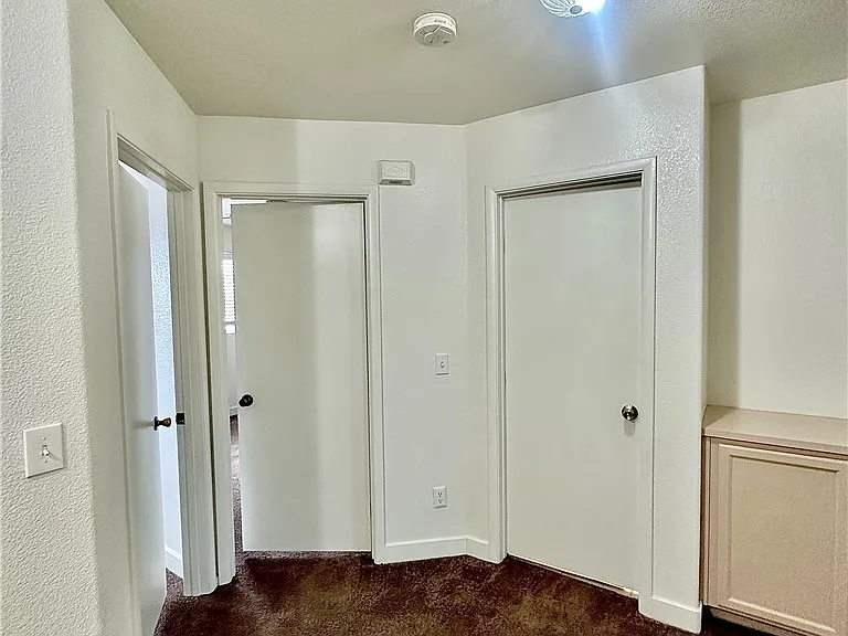 10232 Grecian Laurel Ct — Photo 9