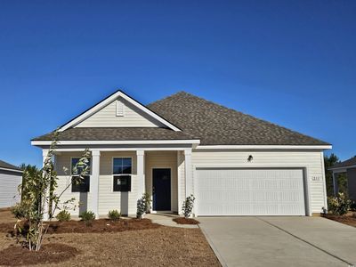 211 Hadley Springs Ave, Longs, SC, 29568