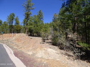 2401 S Hidden Ridge Trl, Show Low, AZ 85901
