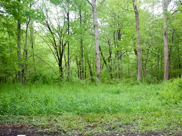 S Preston Hwy, Tunnelton, WV 26444
