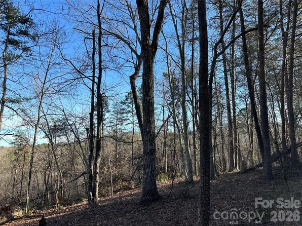 0 Hawkins Ln #8, Mill Spring, NC 28756