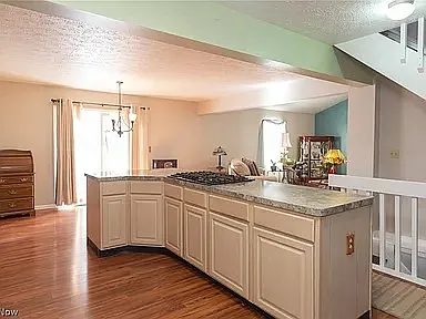 Kitchen facing dining and living room. Countertop stove with hidden/rising ventilation fan for cooking