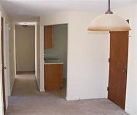 5th image of 440 North Ave APT 264