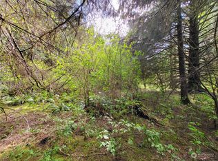 LOT 9999 Two Riata Rd, Forks, WA 98331