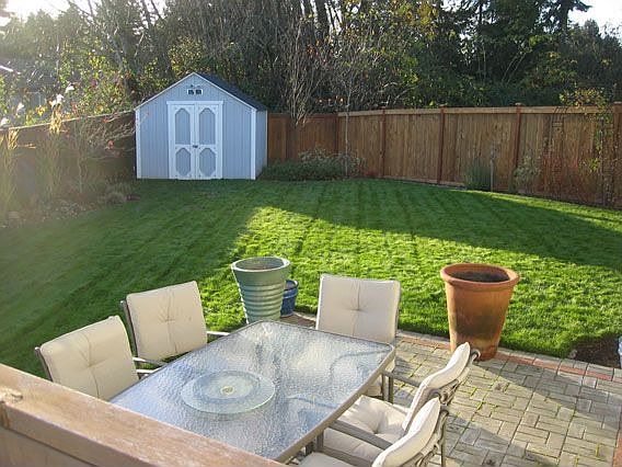 Patio, shed & back yard