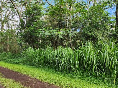 Seadrift Rd, Pahoa, HI, 96778