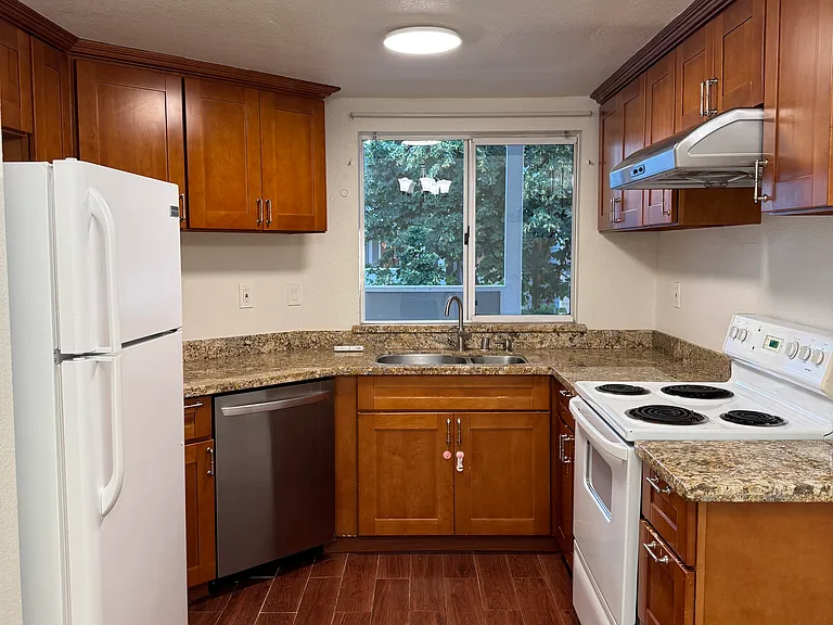 1532 Thornleaf Way — Photo 4