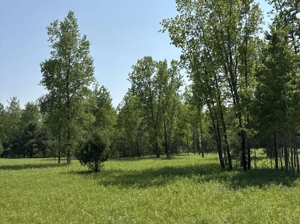 200th Ave, Morley, MI 49336