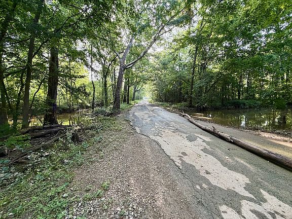 3rd image of Off W Side N Franklin Bottoms Rd Lot Wp001