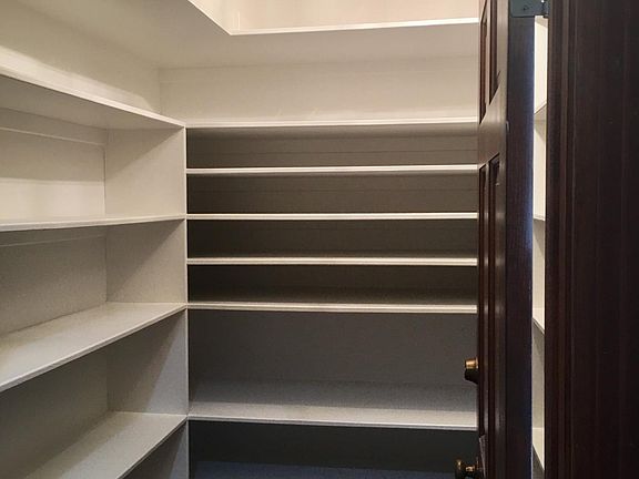 Large pantry with plenty of storage and a cute little light.