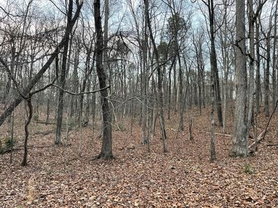 158 Foggy Bottom Dr, Carrollton, GA, 30116