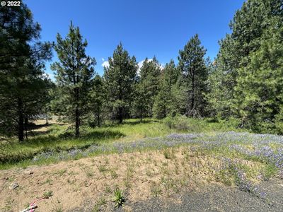 Howard Ct LOT 2, White Salmon, WA, 98672