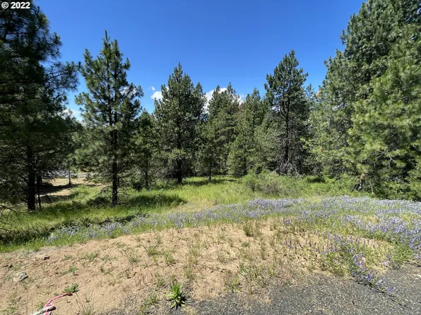Howard Ct Lot 2, White Salmon, WA 98672