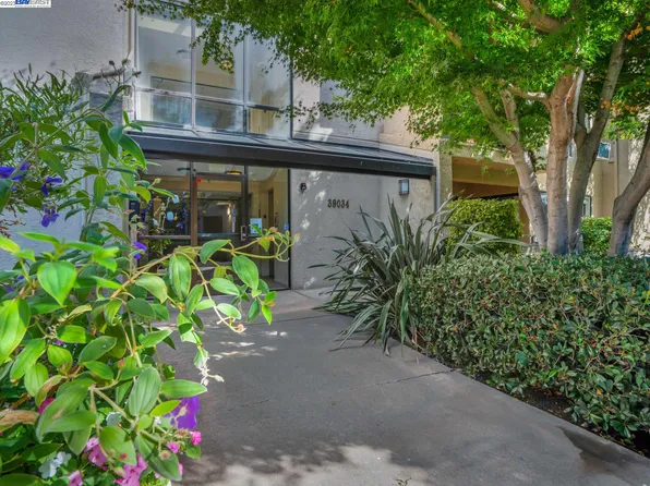 39034 Guardino Dr APT 205, Fremont, CA 94538