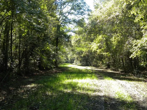 153 Landing Rd, Sylvania, GA 30467