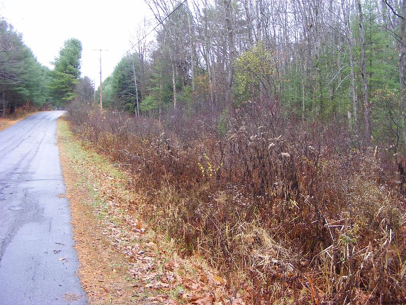 2nd image of SEVEN HILLS Road