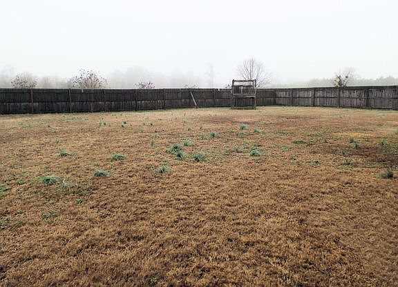 Fenced Back Yard