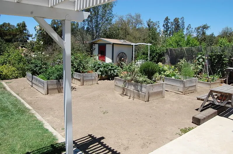 1 bed, 900 sqft, $3,200 — Photo 3