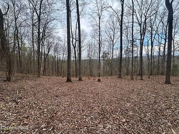 5th image of Possum Valley Rd