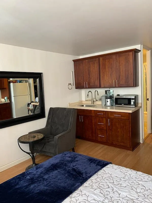 Studio, 310 sqft, $1,600 — Photo 4